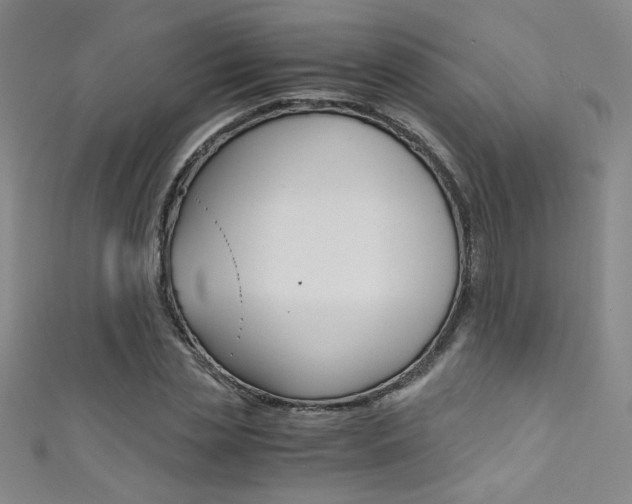 X0000111490829200907141101