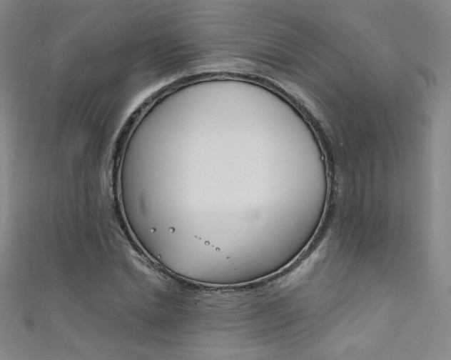 X0000111490830200907141101