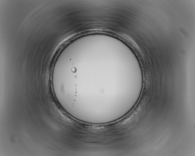 X0000111490831200907141101