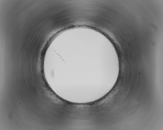 X0000111490832200907141101