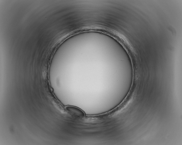 X0000111490833200907141101
