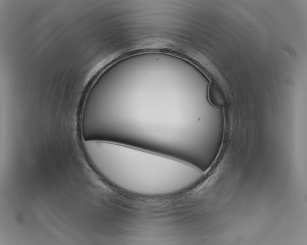 X0000111490834200907141101