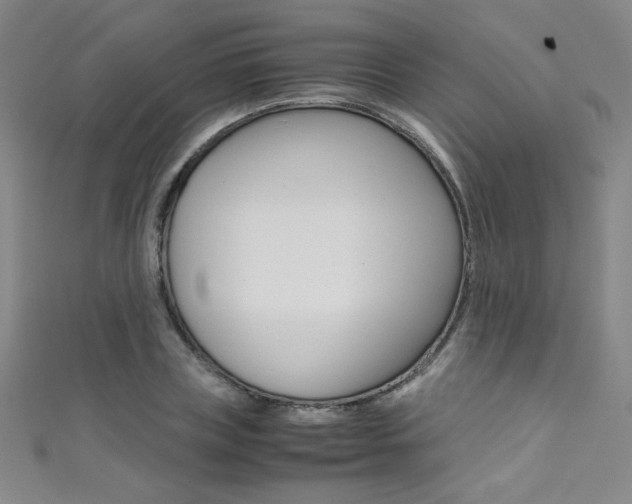 X0000111490835200907141101