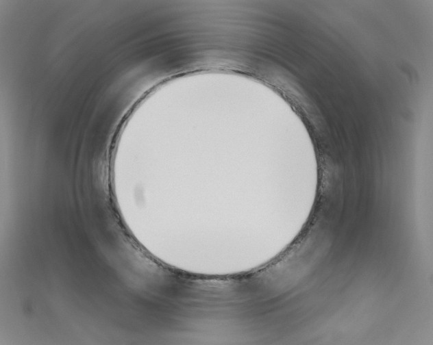 X0000111490836200907141101