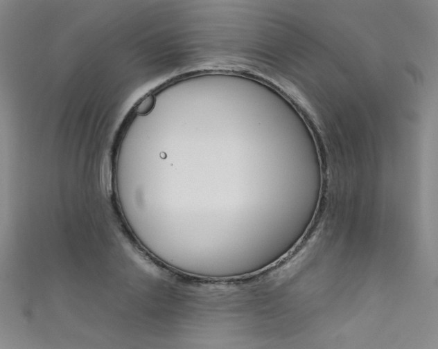 X0000111490838200907141101