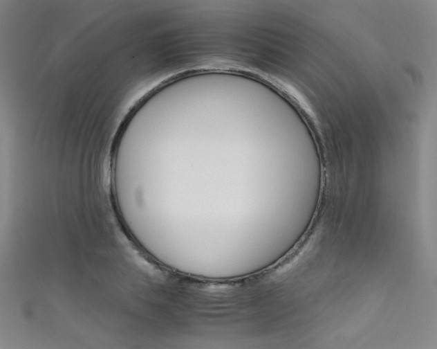 X0000111490839200907141101