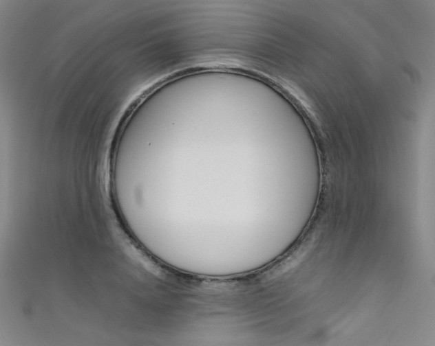 X0000111490840200907141101