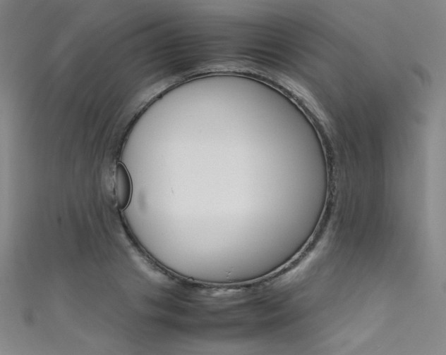 X0000111490841200907141101