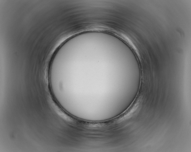 X0000111490843200907141101