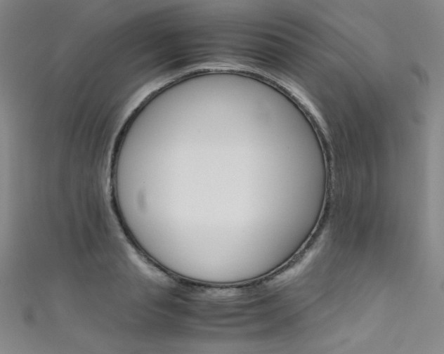 X0000111490845200907141102