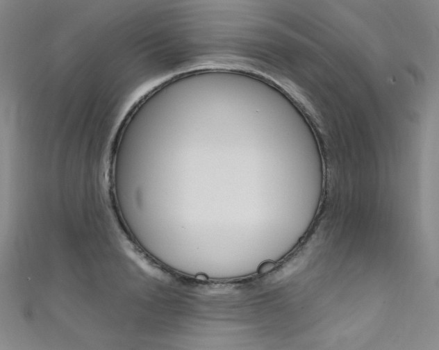 X0000111490846200907141102