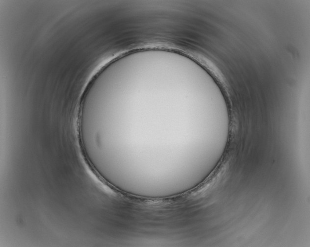 X0000111490847200907141102