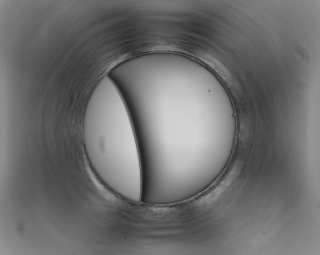 X0000111490849200907141102