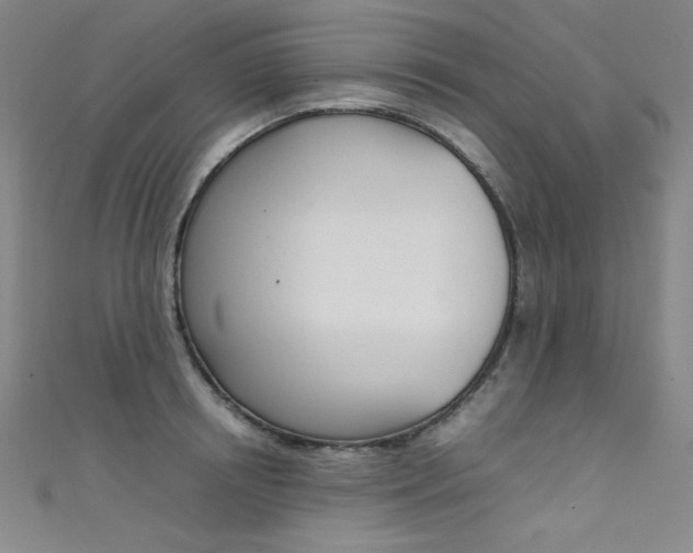 X0000111490850200907141102
