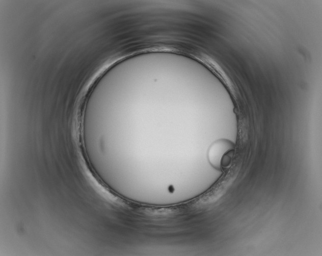 X0000111490851200907141102