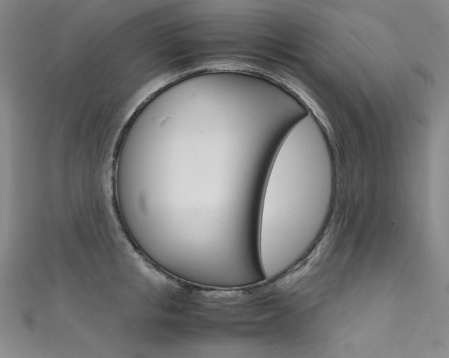 X0000111490853200907141102