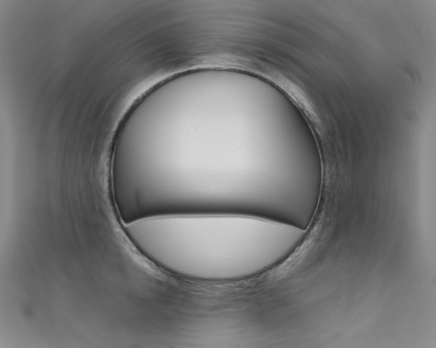 X0000111490854200907141102
