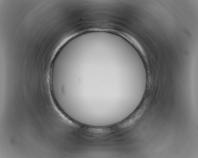 X0000111490855200907141102