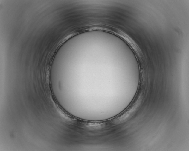 X0000111490857200907141102