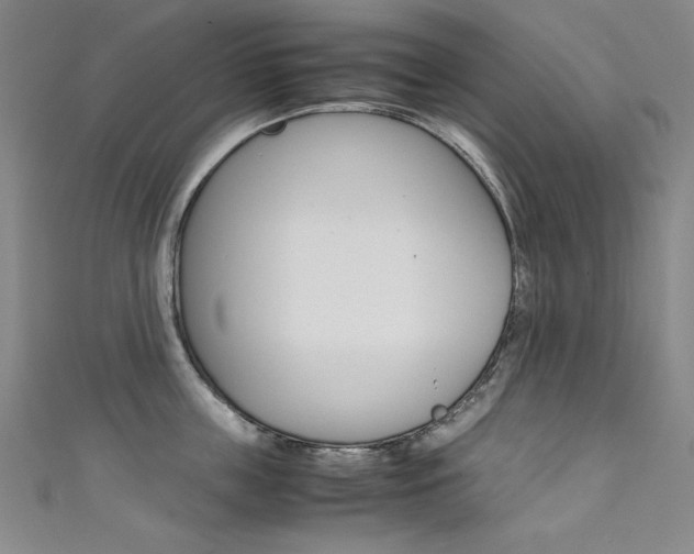 X0000111490859200907141102