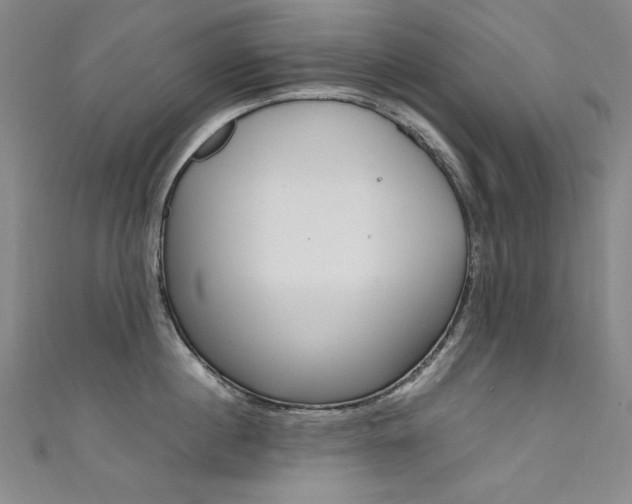 X0000111490860200907141102