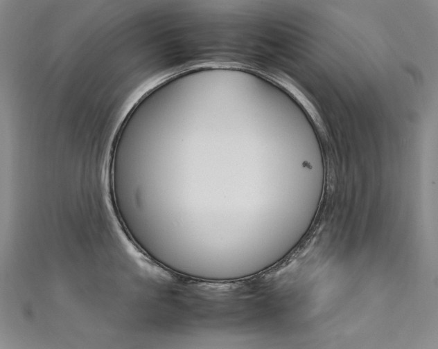 X0000111490861200907141102