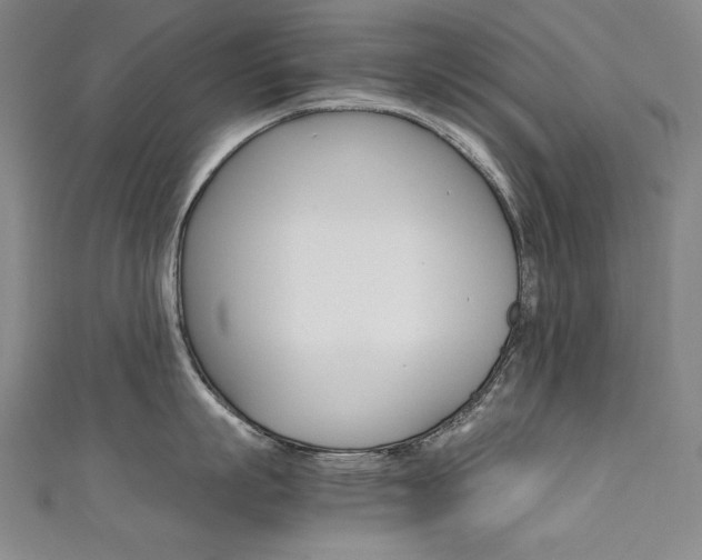 X0000111490863200907141102
