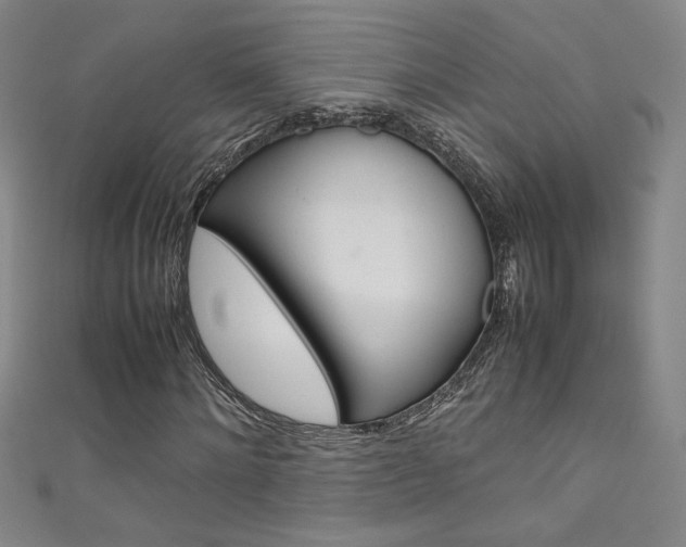 X0000111490868200907141101