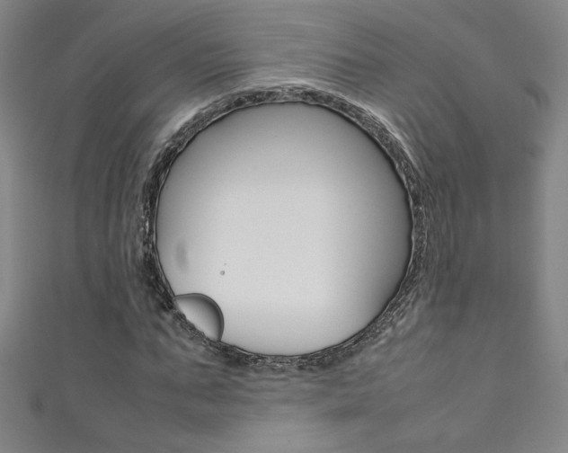 X0000111490871200907141101