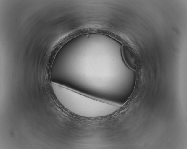 X0000111490872200907141101