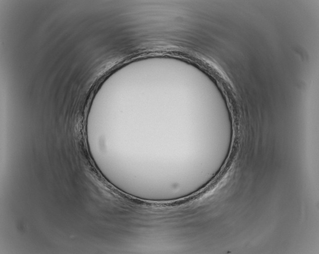X0000111490873200907141101