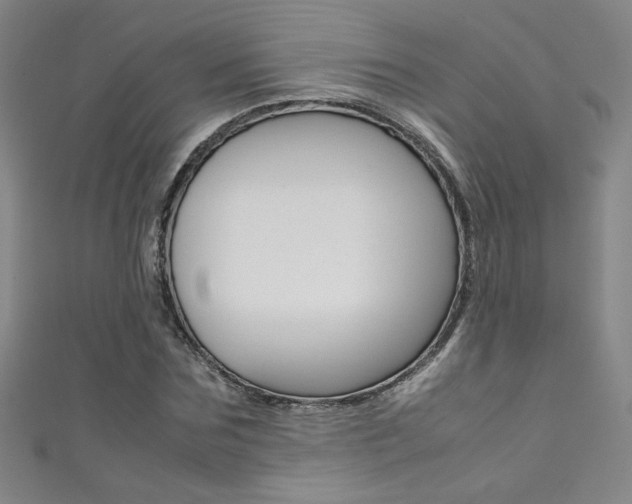 X0000111490875200907141101