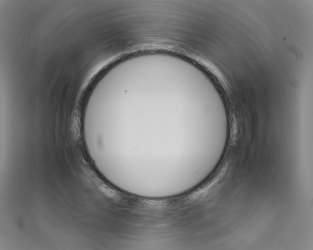 X0000111490878200907141101