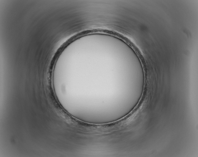 X0000111490879200907141101