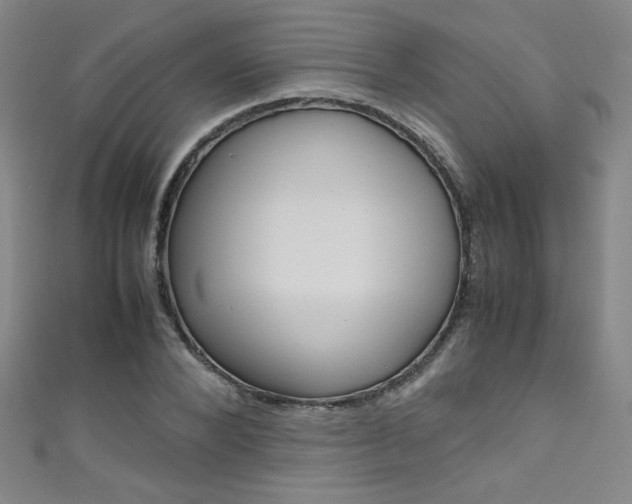 X0000111490880200907141101