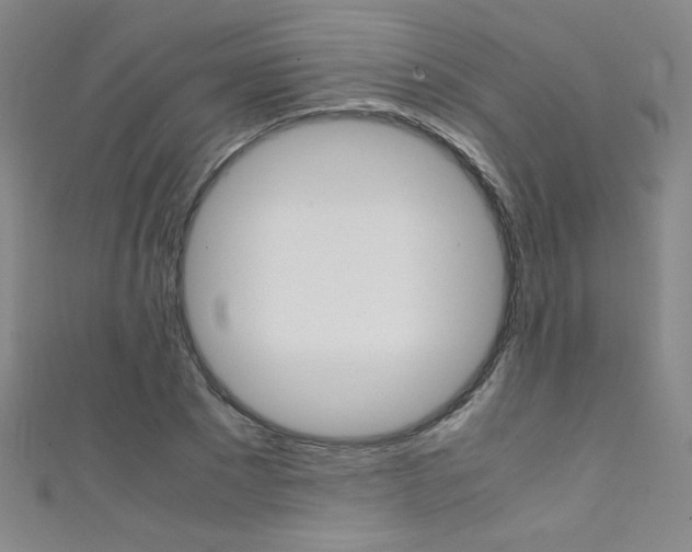 X0000111490881200907141101
