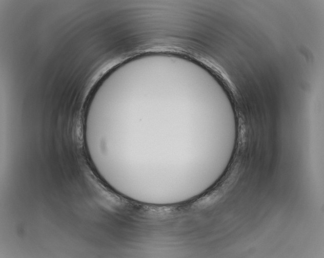 X0000111490882200907141101