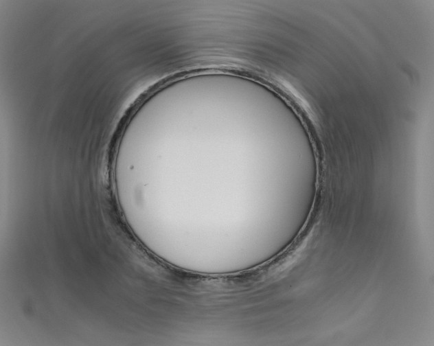 X0000111490883200907141101