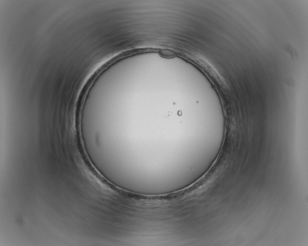 X0000111490884200907141101