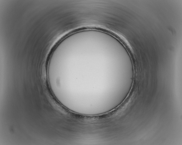 X0000111490887200907141101