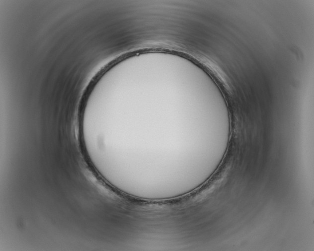 X0000111490888200907141101