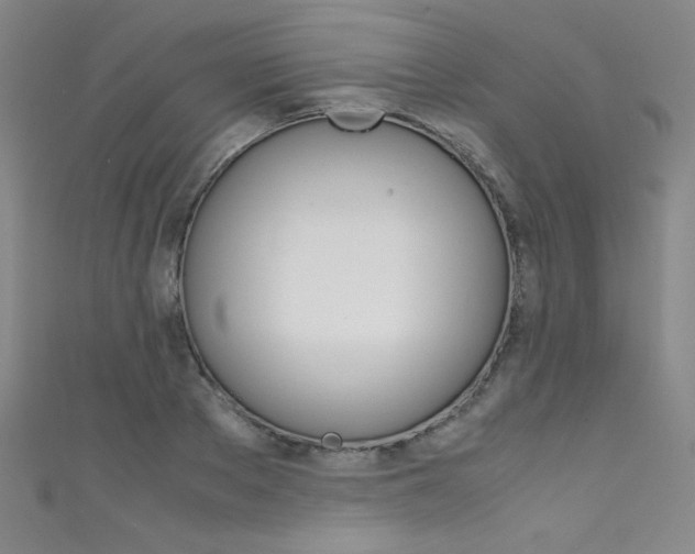X0000111490889200907141101