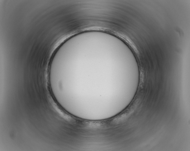 X0000111490890200907141101