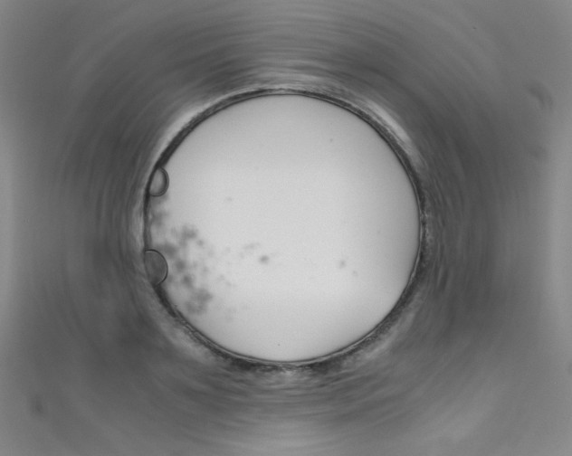 X0000111490891200907141101
