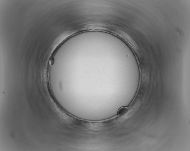 X0000111490893200907141101