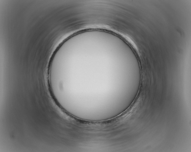 X0000111490895200907141101