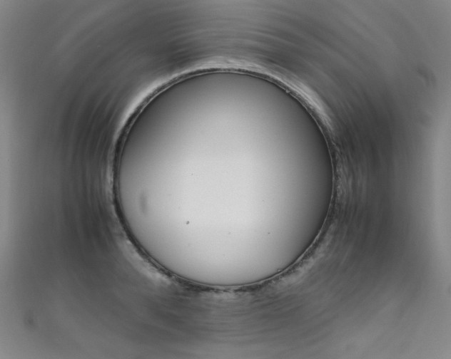 X0000111490896200907141101