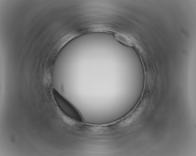 X0000111490897200907141101