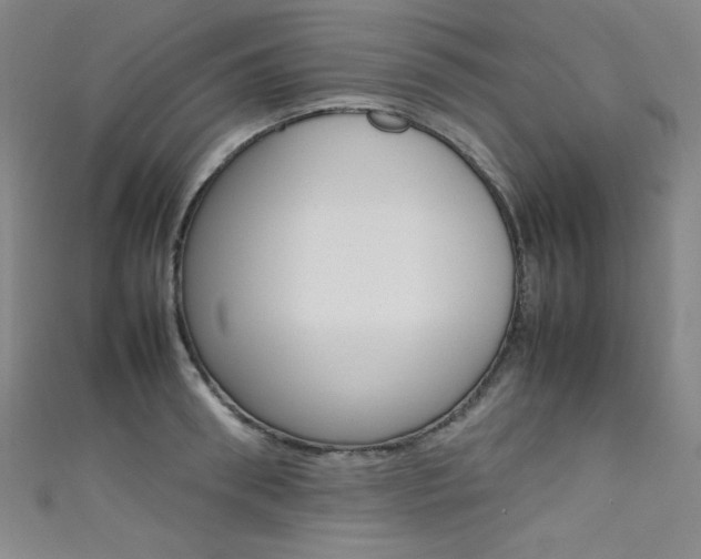 X0000111490898200907141101