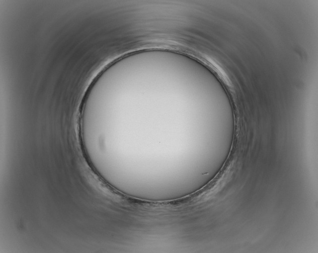 X0000111490899200907141101
